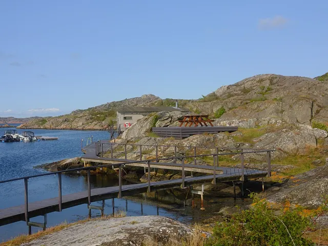 Brændefyret ved vandet